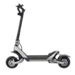 trottinette bison gtmax