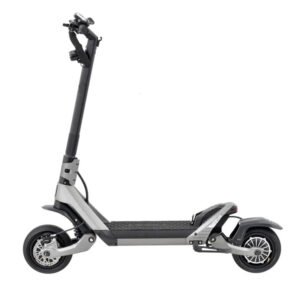 trottinette bison gtmax